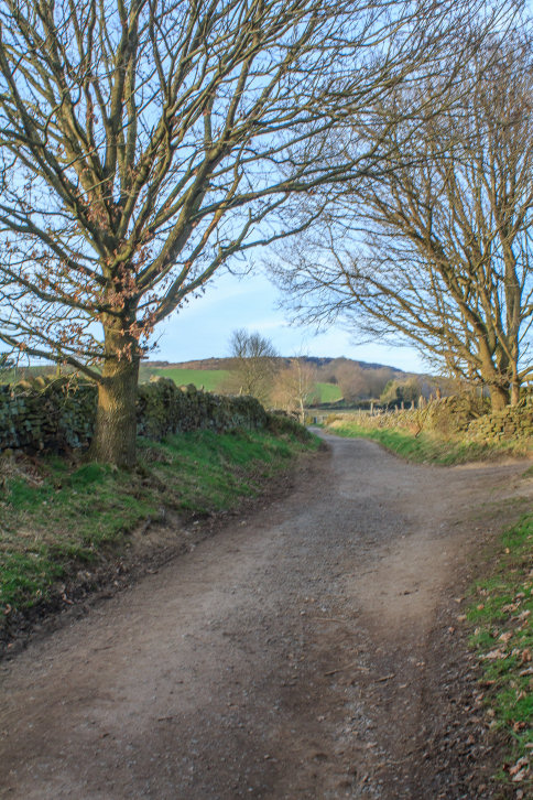 Bar Road Bar Road